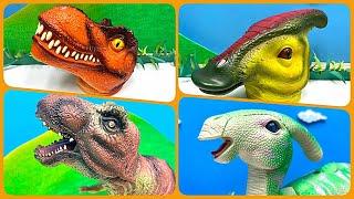 Tyrannosaurus Head VS Parasaurolophus Head  Dinosaur Hunter Fun Video 티라노사우루스 파라사우롤로푸스 공룡 사냥꾼