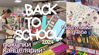 BACK TO SCHOOL 2024  Покупаю Эстетичную Канцелярию для учебы