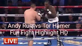 Andy Ruiz vs Tor Hamer Full Fight Highlight