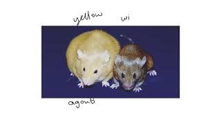 The yellow mouse a dominant lethal mutation 1 of 3