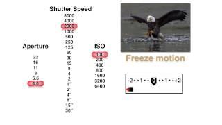 How to Pick the Best Aperture Shutter Speed and ISO Settings with John Greengo  CreativeLive