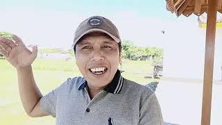 UPLOAD RIBUAN VIDEO TANPA BIKIN KONTEN LAGI