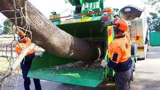 Amazing Automatic Fast Big Wood Chipper Machines Modern Technology Best Large Tree Shredder Machine