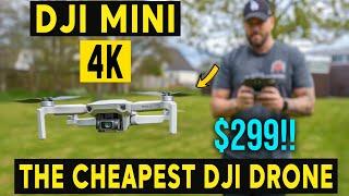 DJI MINI 4K Drone Review - The BEST DRONE for the PRICE ?