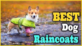 Best Dog Raincoats 2022 Top 5 Picks