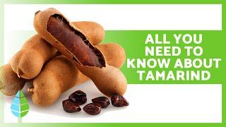 HEALTH BENEFITS OF TAMARIND  Medicinal Properties Usage Tips and Contraindications