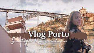 VLOG PORTO  Sealife Porto & Serralves