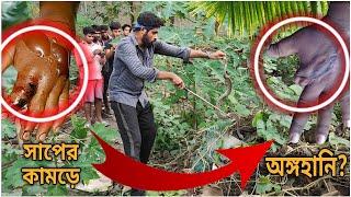 অঙ্গহানির জন্য দায়ী এই সাপ Russells Viper Fatality  বিশাল চন্দ্রবোড়া সাপ@SnakeSaverBrothers