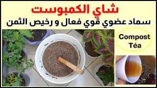 شاي الكمبوست، أسهل و أرخص و أقوى تسميد للنباتات، طريقة عمله و استعماله لزرعك compost tea