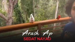 Arash Ap - Sedat Nayad I Teaser  آرش ای پی - صدات نیاد 