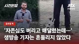 나 좀 봐달라냥…생방송 중 나타난 고양이 폭풍 애교  JTBC 사건반장