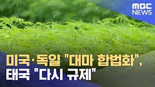 미국·독일 대마 합법화 태국 다시 규제.. 일본 모델 주목 2024.05.22뉴스데스크안동MBC