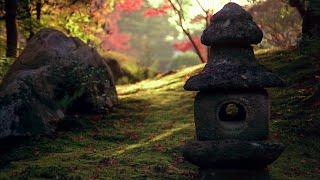 Dream Window Reflections On The Japanese Garden Full HD