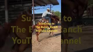 We rope wild Desert Cattle on the Bundy ranch  It’s dangerous Fun Wild  and always a good time