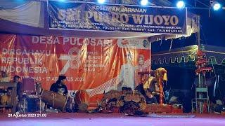  Jaranan SRI PUTRO WIJOYO  Live Lapangan Pulosari Ngunut  Mega Jaya audio