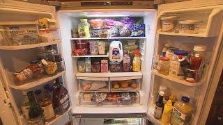 How to Organize Your Refrigerator