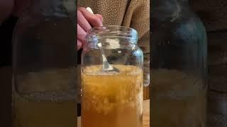 How to make a Ginger Bug Ginger Beer Starter