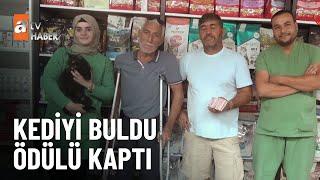 Kayıp kedi ‘Gece’ bulundu - atv Ana Haber 2 Ekim 2024