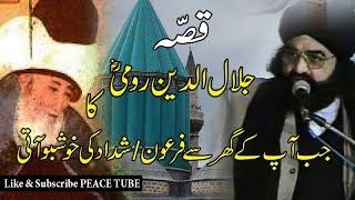 Peer Naseer ud Din Naseer  Story of Jalaluddin Rumi  Peace Tube 