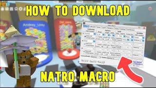 How To Download And Setup Natro Macro  Bee Swarm Simulator  Easy Quide