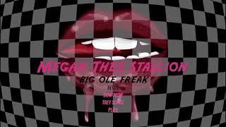 Megan Thee Stallion Feat. Bow Wow Trey Songz & Plies - Big Ole Freak Remix