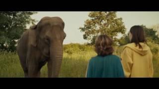 Elephas maximus -  азиатский слон к\ф Луговая страна 2015