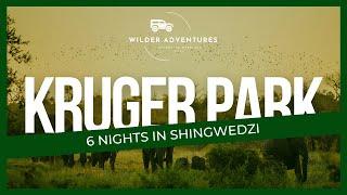 Exploring Shingwedzi  6 Nights in the Kruger National Park