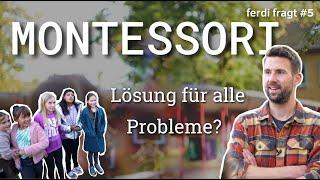 Das ist nicht Schule das ist Pädagogik Prof Stebner an der Montessori in Wulfen  ferdi fragt #5