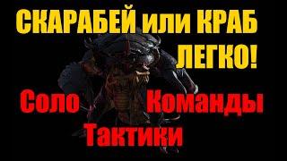 КРАБ ИЛИ СКАРАБЕЙ ЛЕГКО. Raid Shadow Legends