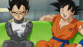 Goku and Vegeta decide to spend 3 years together