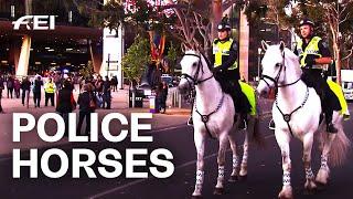 How Police Horses work and live  Equestrian World