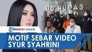 Motif Penyebar Hoaks Video Syur Syahrini Ngaku Fans Artis dan Kesal Orang Dekat Idolanya Direbut