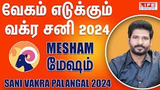 Sani Vakra Palangal 2024  Mesham Rasi  சனி வக்ர  June 29th to Nov 15th  Life Horoscope #mesham