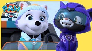 Skye and Rory Team Up +MORE   PAW Patrol  Cartoons for Kids