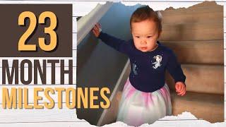 23 MONTH DEVELOPMENTAL MILESTONES  What Your 23 Month Old Toddler Should Be Able To Do