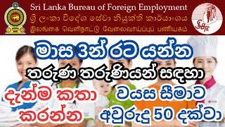 Hotel  Factory  Company  Construction සඳහා විදේශ රැකියා  වයස 50 දක්වා අයදුම් කිරීමේ හැකියාව