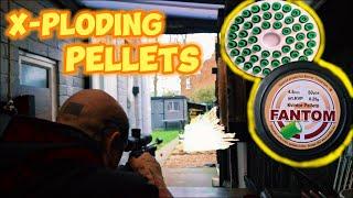 Exploding Airgun Pellets Do they work??