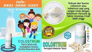 0821-3000-3397 Manfaat Colostrum Synergy untuk Kesehatan