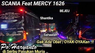 HR dikepung 2 BUS BALAP MURIA‼️PO. HARYANTO KEWALAHAN NGOYAK New SHANTIKA di Jalan TOL Trans Jawa