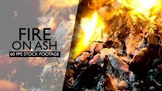 Fire on Ash Stock Footage  Free Full HD 60 fps stock Footages