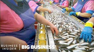 How The World’s Longest-Running Sardine Cannery Packs 60 Million Cans A Year  Big Business