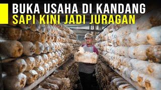 Cerita Sukses Memulai Usaha Dari Kandang Sapi Sampai Punya Tempat Produksi Yang Besar.