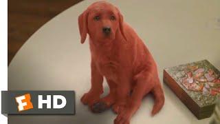 Clifford the Big Red Dog 2021 - Clifford Comes Home Scene 110  Movieclips