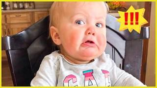 Dont Touch Me Adorable Angry Babies Compilation  Peachy Vines