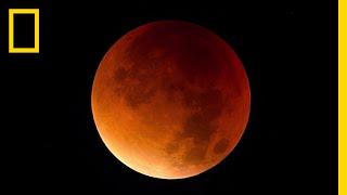 Lunar Eclipse 101  National Geographic