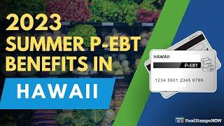 2023 Summer P-EBT in Hawaii Payment Update