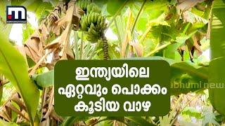 ഇതാ ഇന്ത്യയിലെ ഏറ്റവും പൊക്കം കൂടിയ വാഴ.. 500ലേറെ വാഴ ഇനങ്ങളുടെ പറുദീസയിലേക്ക്  Krishibhumi