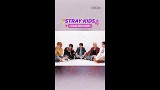 Oh My Goodness Stray Kids Kitten Interview is coming out tomorrow 