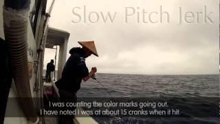 Slow pitch jigging Japanese Anglers Secrets