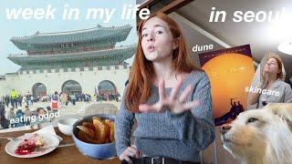 week in my life in seoul  trying to be an ambivert new vlog camera my apartment book shopping